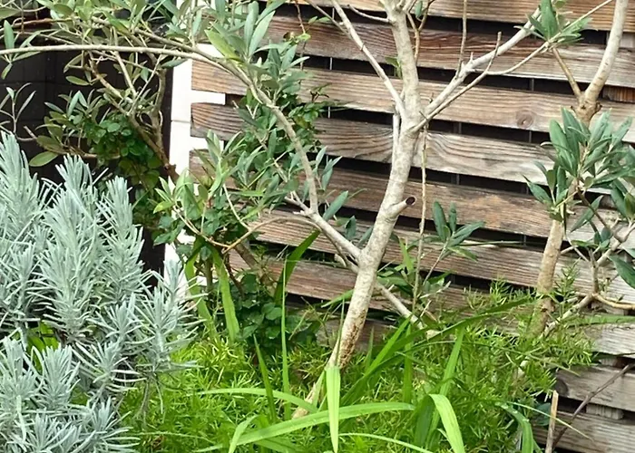 Lejlighed Residencia Albuquerque Santa Maria da Feira